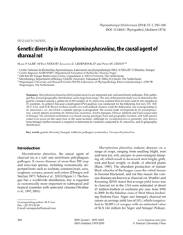 Genetic Diversity in Macrophomina Phaseolina, the Causal Agent of Charcoal Rot