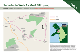Moel Eilio (726M)