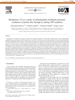 Rhodamine 123 As a Probe of Mitochondrial Membrane Potential