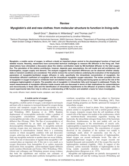 Review Myoglobin's Old and New Clothes