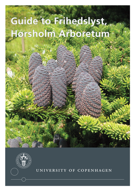 Guide to Frihedslyst, Hørsholm Arboretum