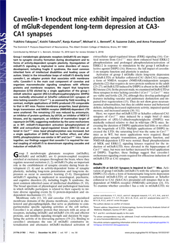 Caveolin-1 Knockout Mice Exhibit Impaired Induction of Mglur-Dependent Long-Term Depression at CA3- CA1 Synapses