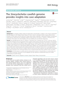 The Sinocyclocheilus Cavefish Genome Provides Insights Into Cave