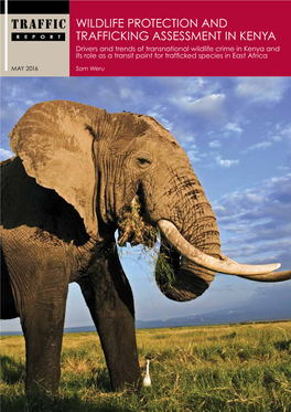 Wildlife Protection and Trafficking Assessment in Kenya