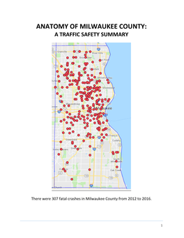 Anatomy of Milwaukee County: a Traffic Safety Summary