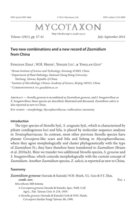 <I>Zasmidium</I>