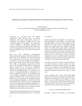 A Study of Acarosporas in the Lichen Flora of the Santa Cruz Peninsula by A.W.C.T