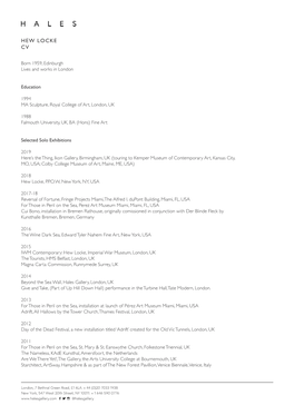 Hew Locke Cv