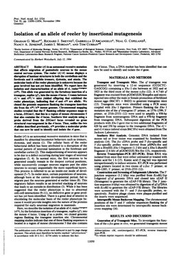 Isolation of an Allele of Reeler by Insertional Mutagenesis GRAHAM G