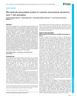 Microtubule-Associated Protein-4 Controls Nanovesicle Dynamics And