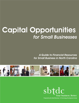 Capital Opportunities for Small Businesses