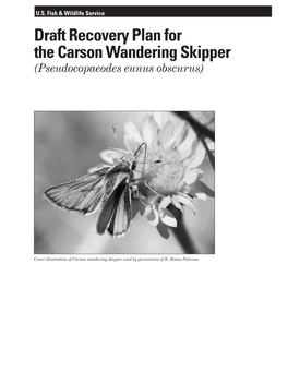 Draft Recovery Plan for the Carson Wandering Skipper (Pseudocopaeodes Eunus Obscurus)