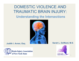 DOMESTIC VIOLENCE and TRAUMATIC BRAIN INJURY: Understanding the Intersections