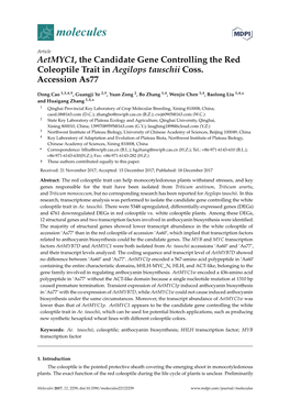 Aetmyc1, the Candidate Gene Controlling the Red Coleoptile Trait in Aegilops Tauschii Coss