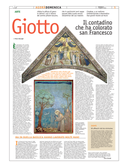 Giotto Il Contadino Che Ha Colorato San Francesco