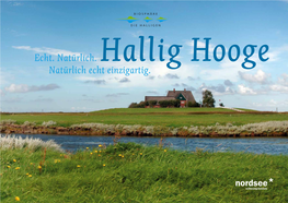 Hallig Hooge Natürlich Echt Einzigartig