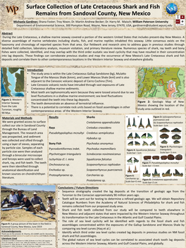 Surface Collection of Late Cretaceous Shark and Fish Remains from Sandoval County, New Mexico