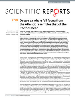 Deep-Sea Whale Fall Fauna from the Atlantic Resembles That of the Pacific Ocean Received: 03 August 2015 Paulo Y