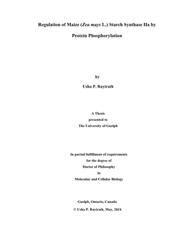 REGULATION of MAIZE (Zea Mays L.) STARCH SYNTHASE Iia by PROTEIN PHOSPHORYLATION