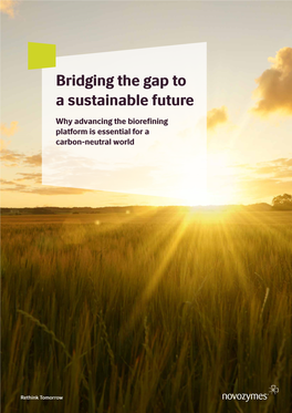Bridging the Gap to a Sustainable Future