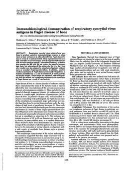 Immunohistological Demonstration of Respiratory Syncytial Virus Antigens