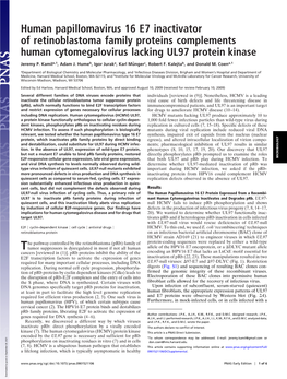 Human Papillomavirus 16 E7 Inactivator of Retinoblastoma Family Proteins Complements Human Cytomegalovirus Lacking UL97 Protein Kinase