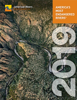 2019 America's Most Endangered Rivers ® Report