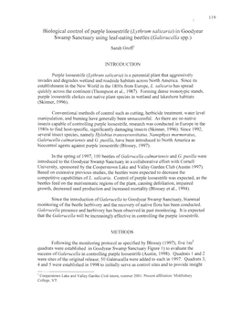Biological Control of Purple Loosestrife (Lythrum Salicaria) in Goodyear Swamp Sanctuary Using Leaf-Eating Beetles (Galerucella Spp.)
