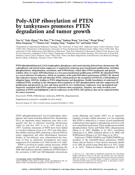 Poly-ADP Ribosylation of PTEN by Tankyrases Promotes PTEN Degradation and Tumor Growth