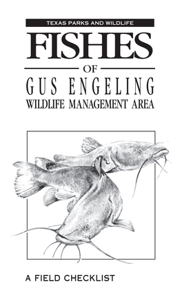 Fishes of Gus Engeling Wildlife Management Area
