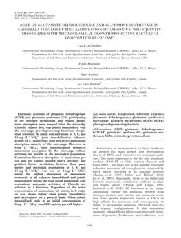 Role of Glutamate Dehydrogenase and Glutamine Synthetase In