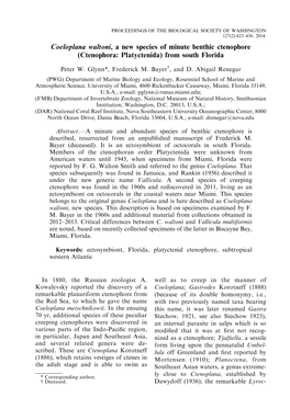 Coeloplana Waltoni, a New Species of Minute Benthic Ctenophore (Ctenophora: Platyctenida) from South Florida