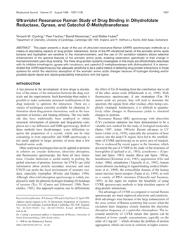 Ultraviolet Resonance Raman Study of Drug Binding in Dihydrofolate Reductase, Gyrase, and Catechol O-Methyltransferase