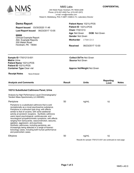 Example Report Attn: Example Reports Workorder 17001213 200 Welsh Road Horsham, PA 19044 Received 06/23/2017 13:00