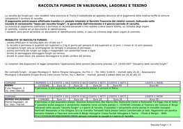 Raccolta Funghi in Valsugana, Lagorai E Tesino