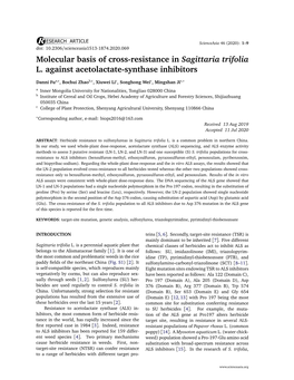 Molecular Basis of Cross-Resistance in Sagittaria Trifolia L. Against Acetolactate-Synthase Inhibitors