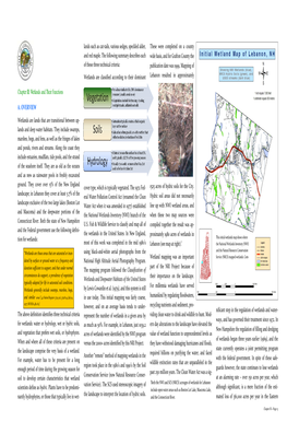 A. OVERVIEW Chapter III: Wetlands and Their Functions