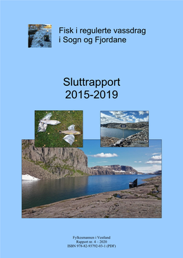 Sluttrapport 2015-2019