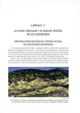 11. La Flora Vascular Y El Paisaje Vegetal De Los Monegros