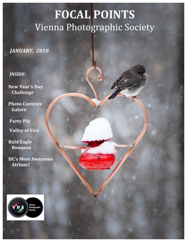 FOCAL POINTS Vienna Photographic Society