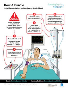 Surviving Sepsis Campaign Hour 1 Bundle