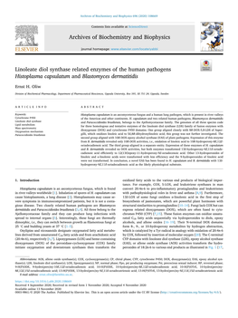 Linoleate Diol Synthase Related Enzymes of the Human Pathogens Histoplasma Capsulatum and Blastomyces Dermatitidis