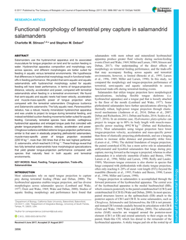 Functional Morphology of Terrestrial Prey Capture in Salamandrid Salamanders Charlotte M