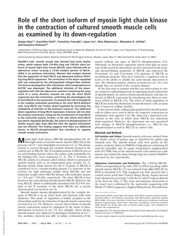 Role of the Short Isoform of Myosin Light Chain Kinase in the Contraction of Cultured Smooth Muscle Cells As Examined by Its Down-Regulation