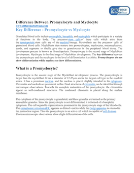 Difference Between Promyelocyte and Myelocyte Key Difference