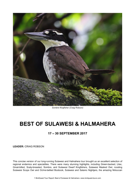 Best of Sulawesi & Halmahera