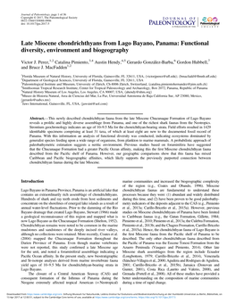 Late Miocene Chondrichthyans from Lago Bayano, Panama: Functional Diversity, Environment and Biogeography