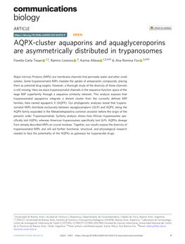 AQPX-Cluster Aquaporins and Aquaglyceroporins Are