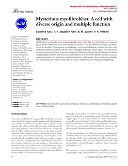 Mysterious Myofibroblast: a Cell with Diverse Origin and Multiple Function