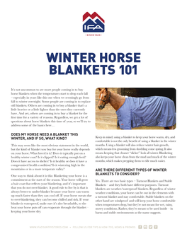 Winter Horse Blankets 101